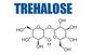 Двугидрат Cas пищевой добавки d Trehalose отсутствие 6138-23-4